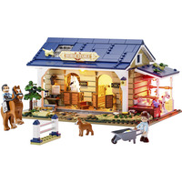 Lumibricks  Constructiespeelgoed 