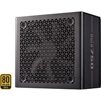 Cooler Master CooMas ELITE Gold 750W Black 